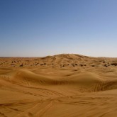 163088_483162910957_510155957_5996200_4530889_n