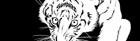 Download Sundaze #41