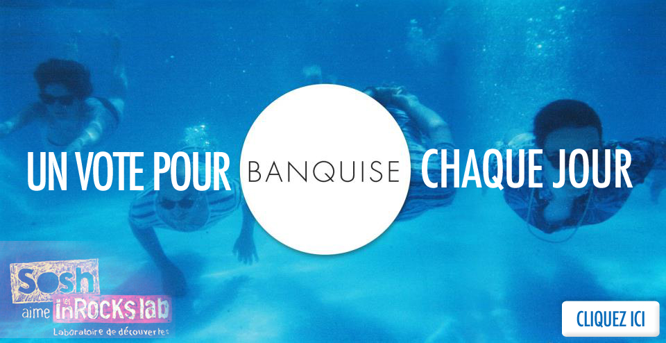banquise-vote