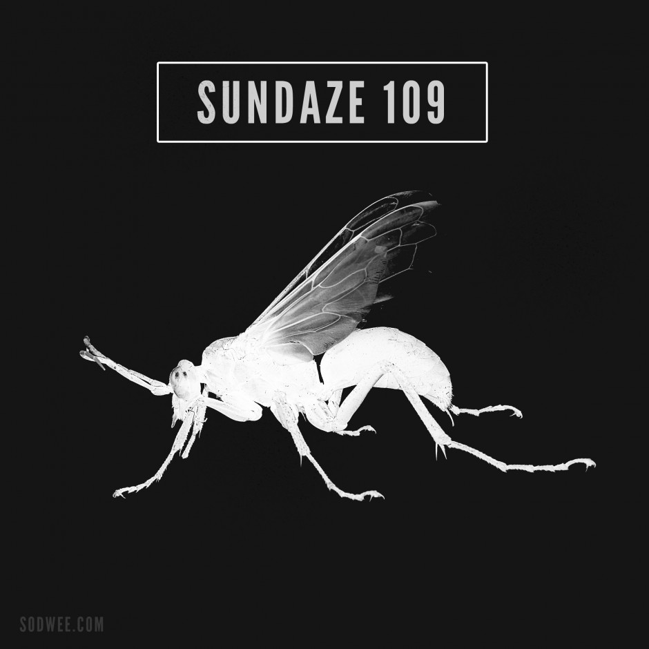 Sundaze #104