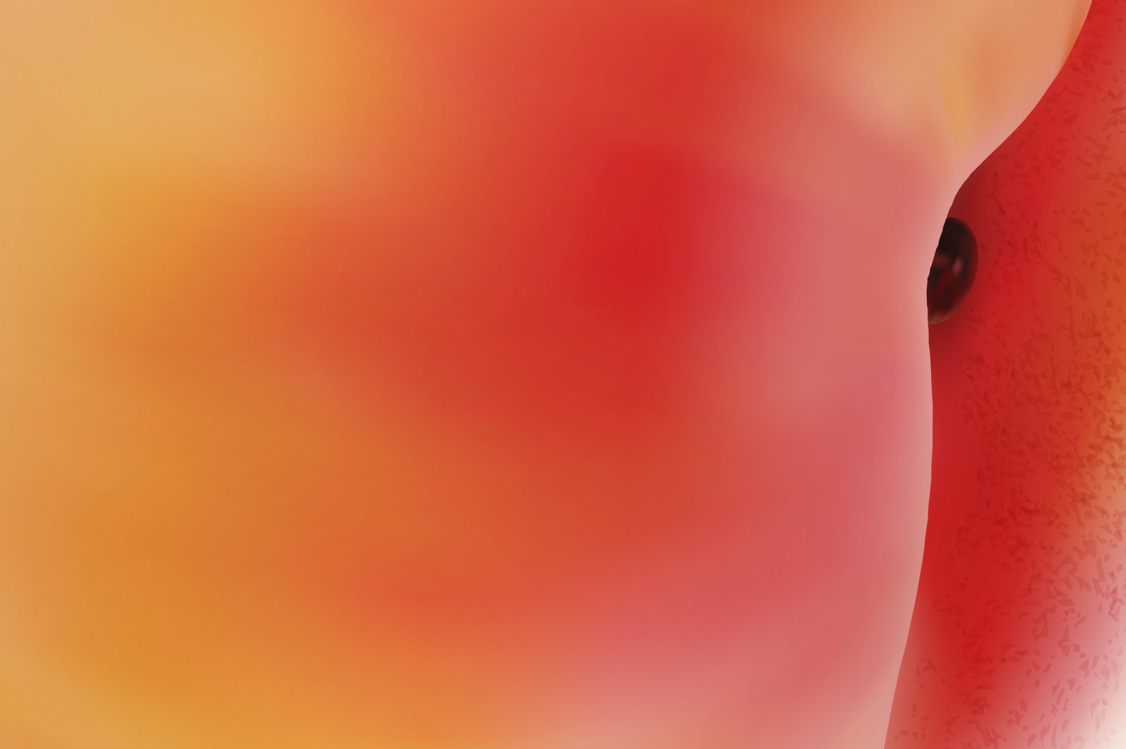 Valentine’s Day Special Mixtape