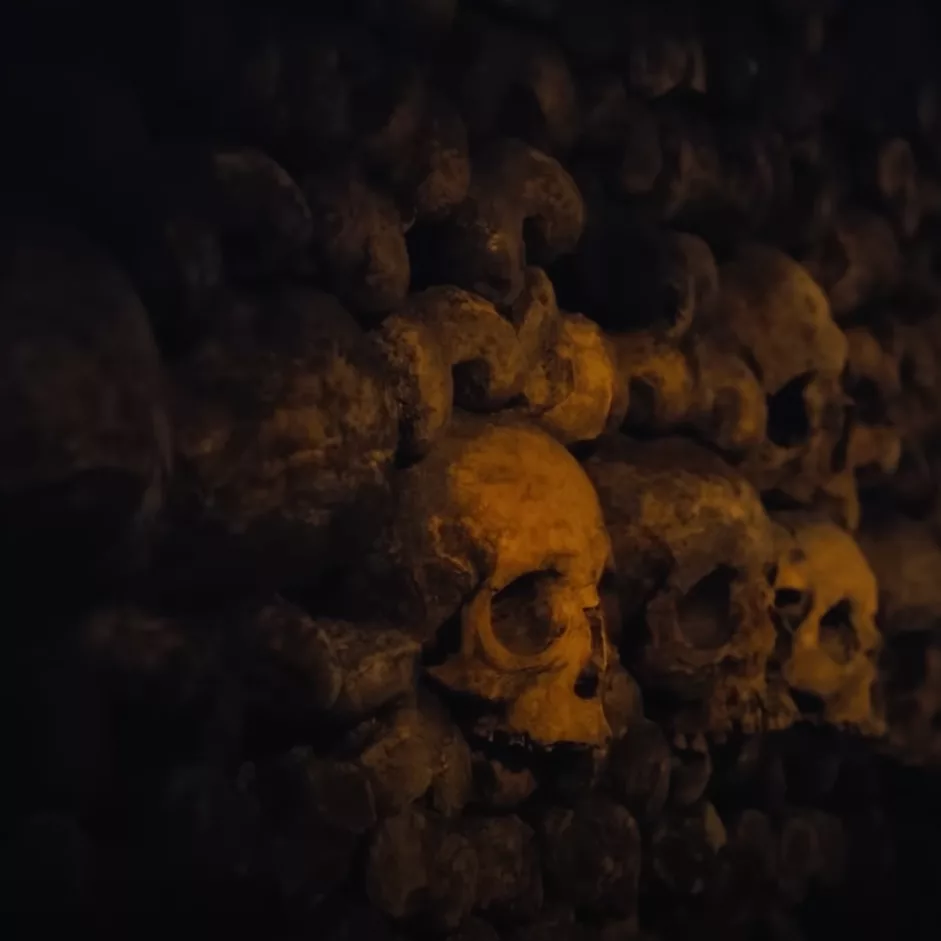 Queens Of The Stone Age - Alive in the Catacombs - Sodwee.com