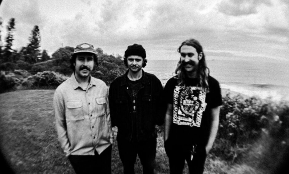 The Grogans - Social Cue - Sodwee.com