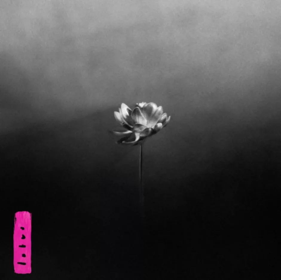 Little Simz - Lotus - Sodwee.com