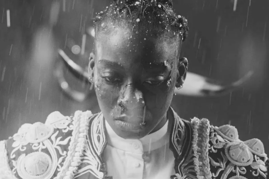 Little Simz - Lotus - Sodwee.com