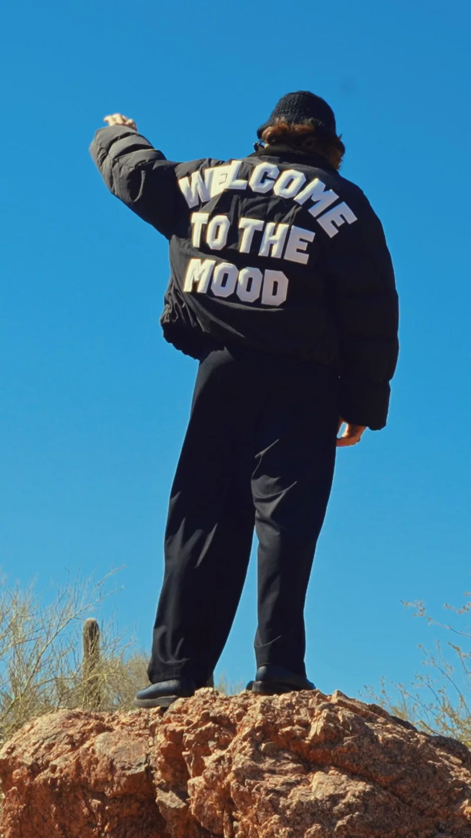 LEISURE - Welcome To The Mood - Sodwee.com
