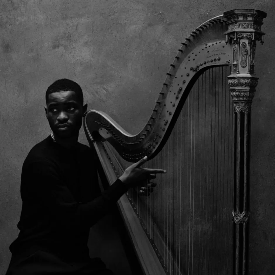 Dave - The Boy Who Played The Harp - Sodwee.com