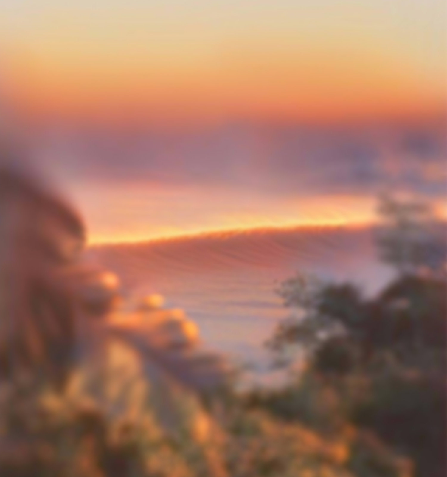 15 15 - Mārara | Sodwee